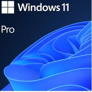 Microsoft Windows 11 Pro, 64 bit, Engleza, OEM